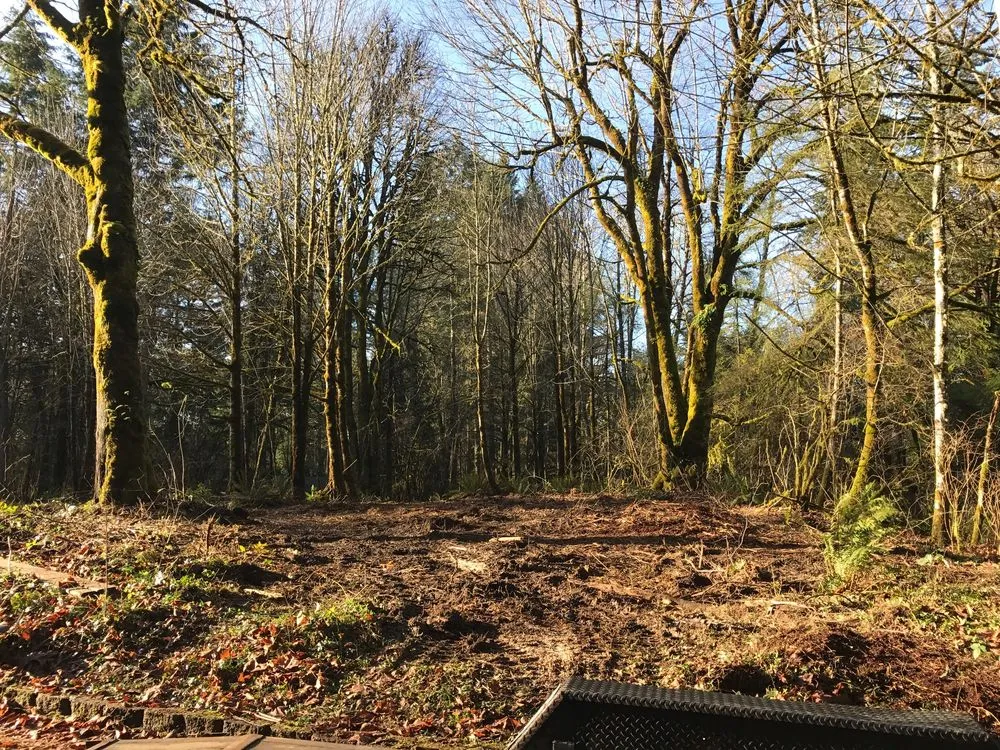 Top-rated outdoor landscaping near you in Tumwater, WA by NW Green Clearing