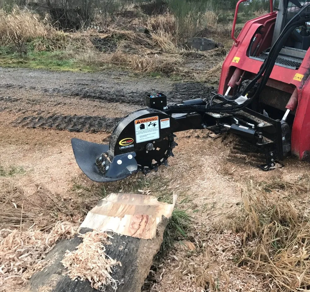 Affordable yard cleanup service in Tumwater, WA by NW Green Clearing