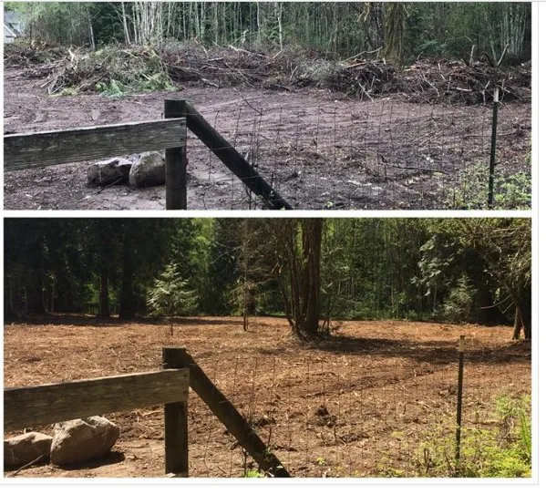 Affordable residential landscaping near you in Tumwater, WA by NW Green Clearing