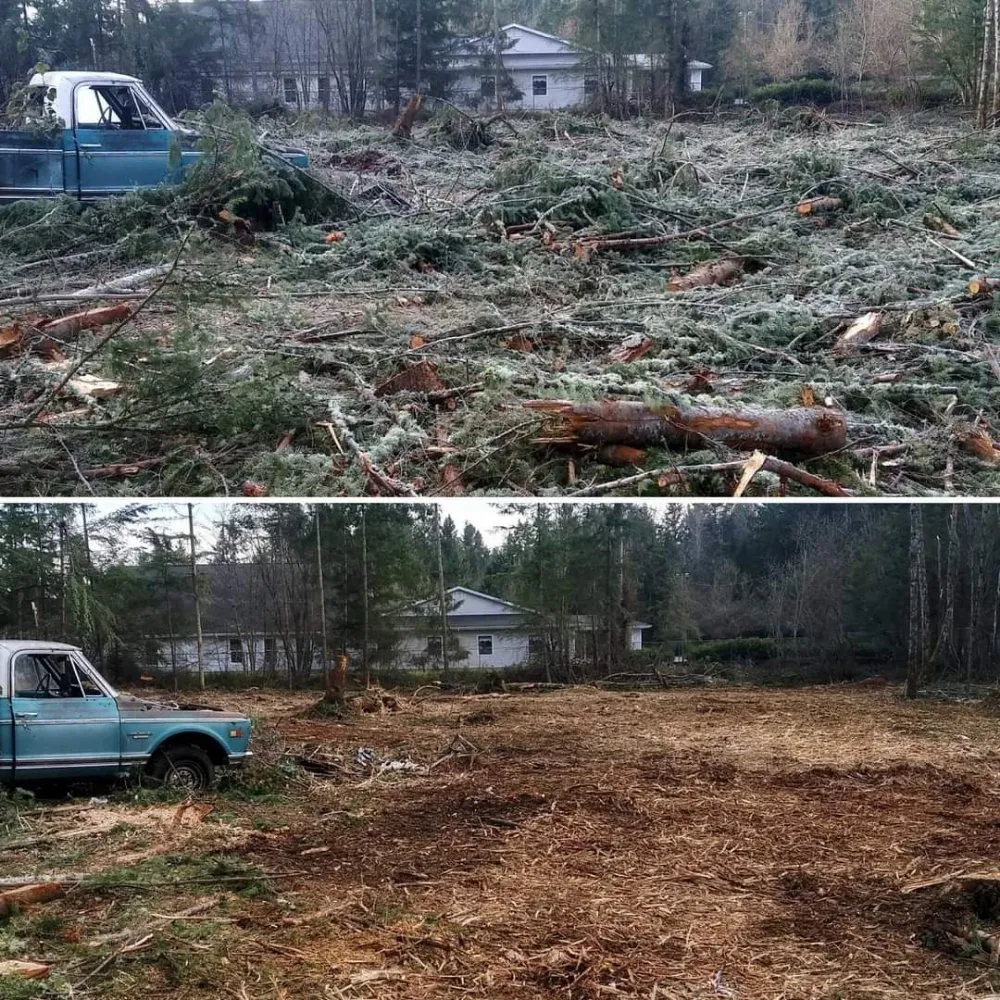 Professional landscaping services for residential properties in Tumwater, WA by NW Green Clearing