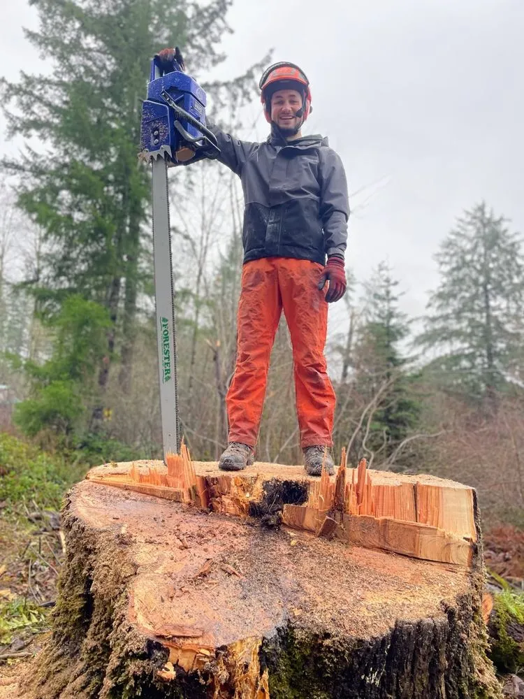 Expert landscape design experts serving Tumwater, WA - NW Green Clearing