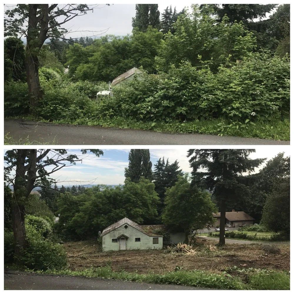 Top-rated landscaping services near you in Tumwater, WA by NW Green Clearing