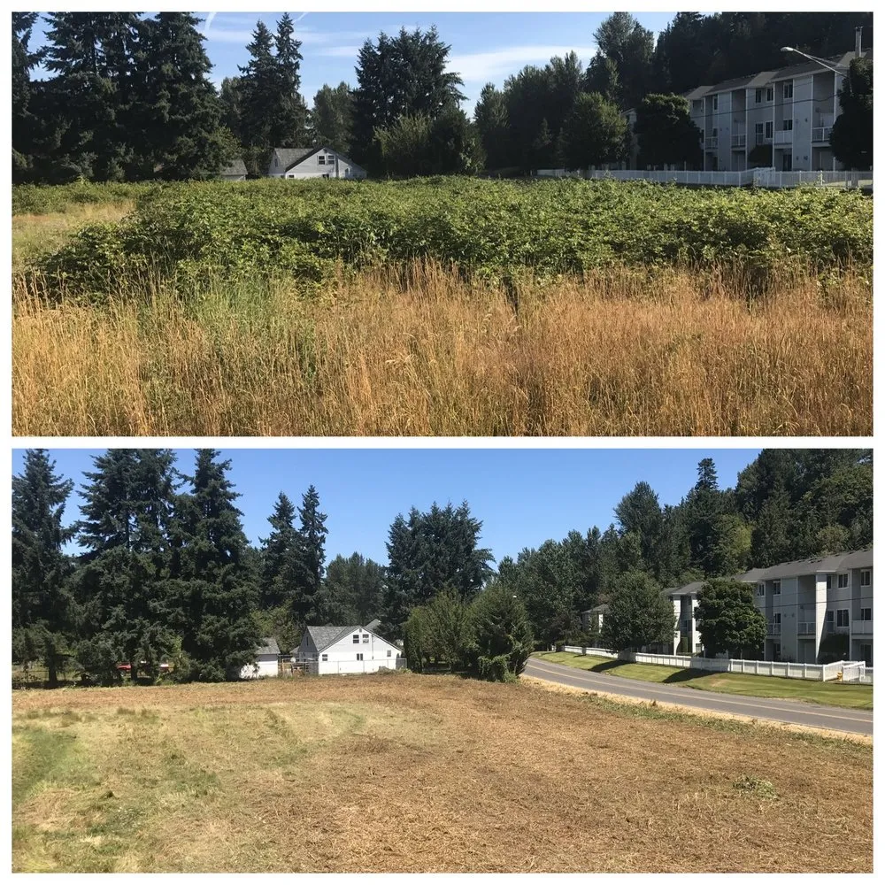 Trusted residential landscaping for beautiful yards across Tumwater, WA - NW Green Clearing