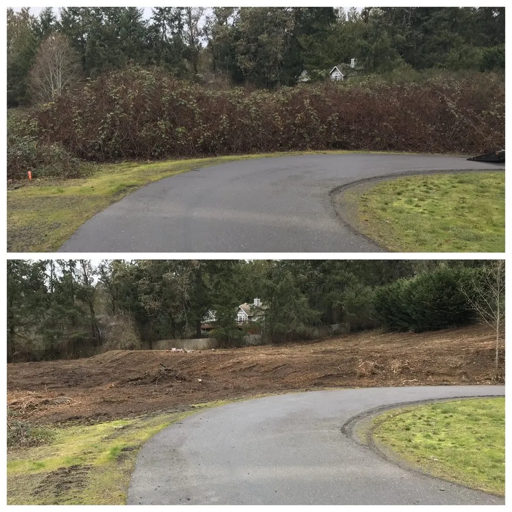 Reliable landscaping services experts serving Tumwater, WA - NW Green Clearing