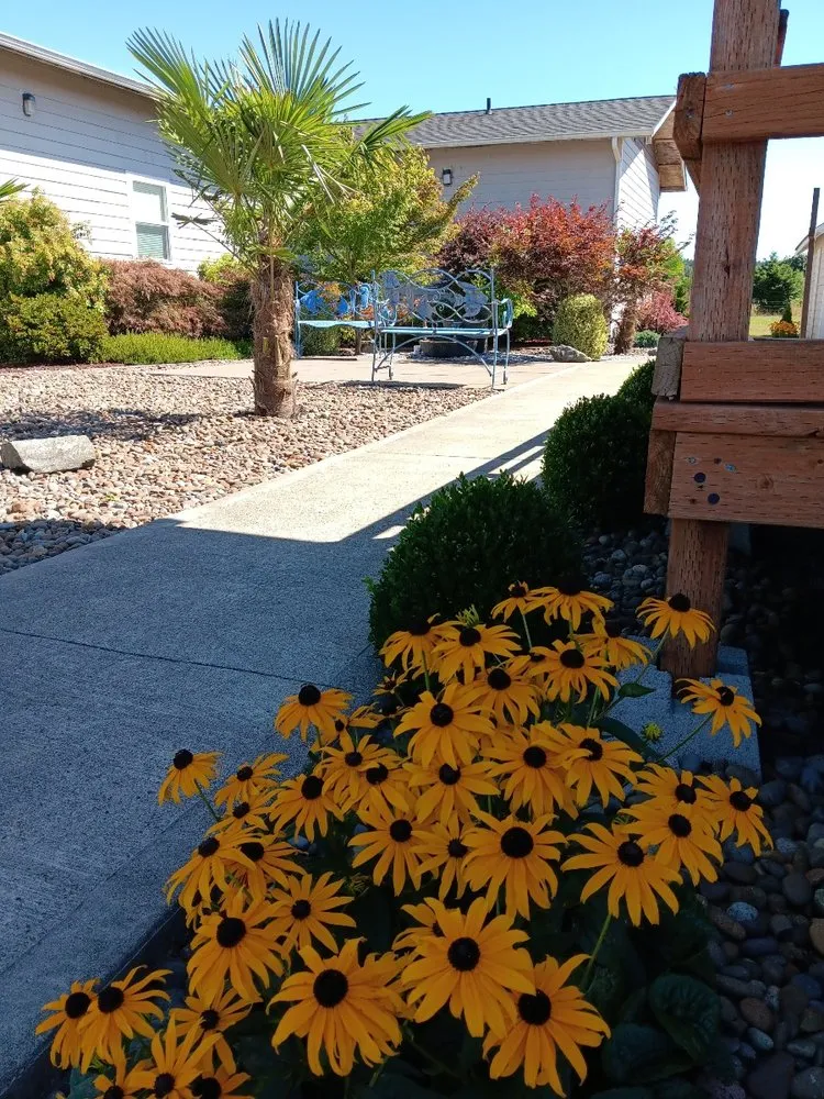 Trusted yard cleanup service in Centralia, WA by NW Green Leafs Landscape