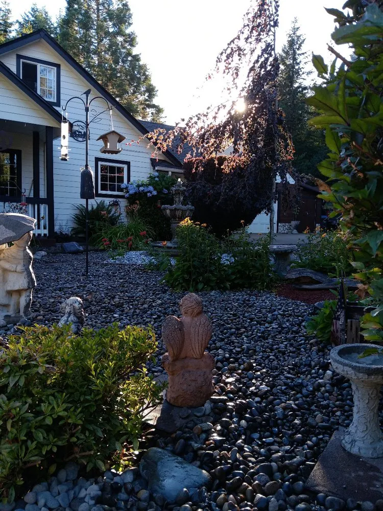 Expert yard cleanup service in Centralia, WA - NW Green Leafs Landscape