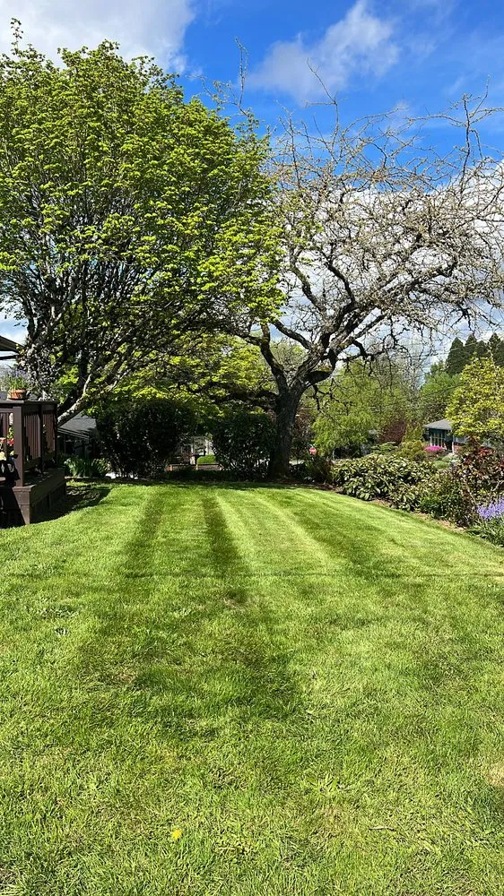 Local yard cleanup service for outdoor upgrades across Portland, OR - NW Home & Yard mainetanance