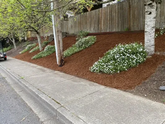 NW Landscape Experts Logo