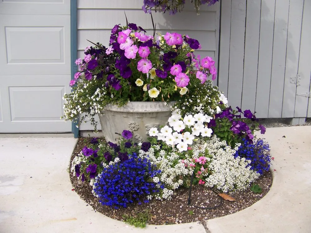 Trusted yard maintenance experts serving Federal Way, WA - NW Landscape Management