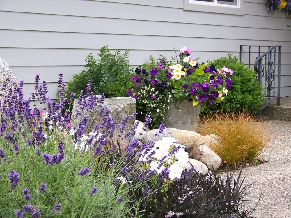 Affordable landscaping services for residential properties across Federal Way, WA - NW Landscape Management