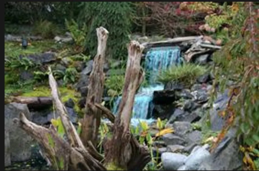 Reliable outdoor landscaping in Federal Way, WA - NW Landscape Management