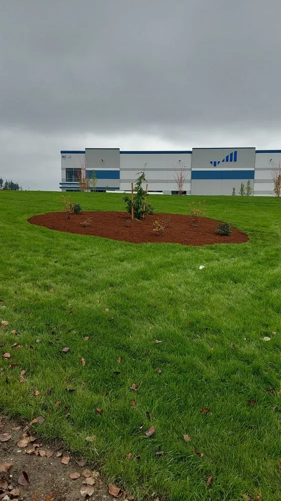 Trusted yard maintenance in Federal Way, WA by NW Landscape Management