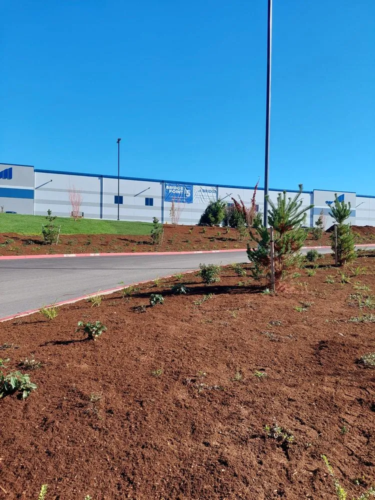 Expert yard maintenance for year-round maintenance across Federal Way, WA - NW Landscape Management