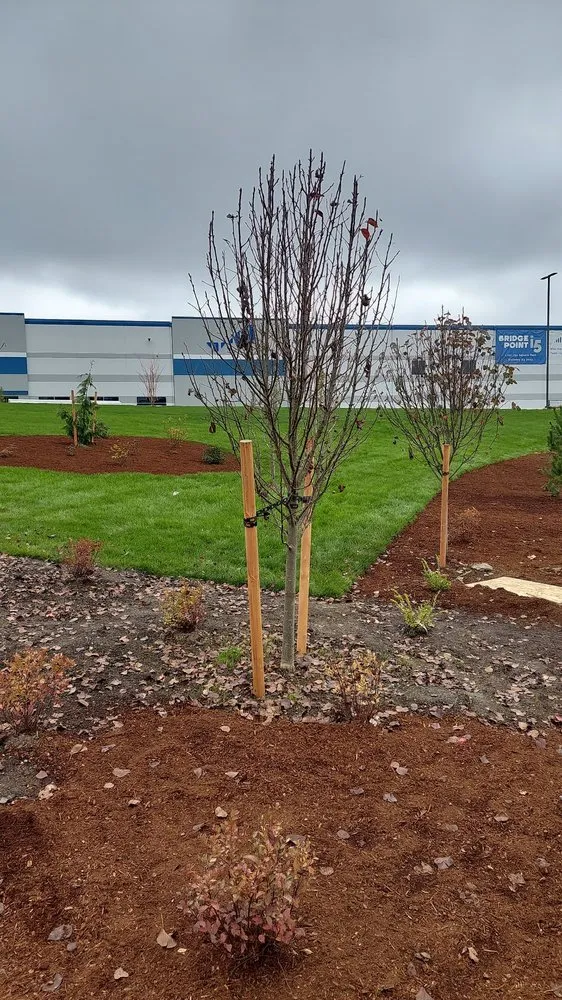 Top-rated lawn mowing service in Federal Way, WA by NW Landscape Management