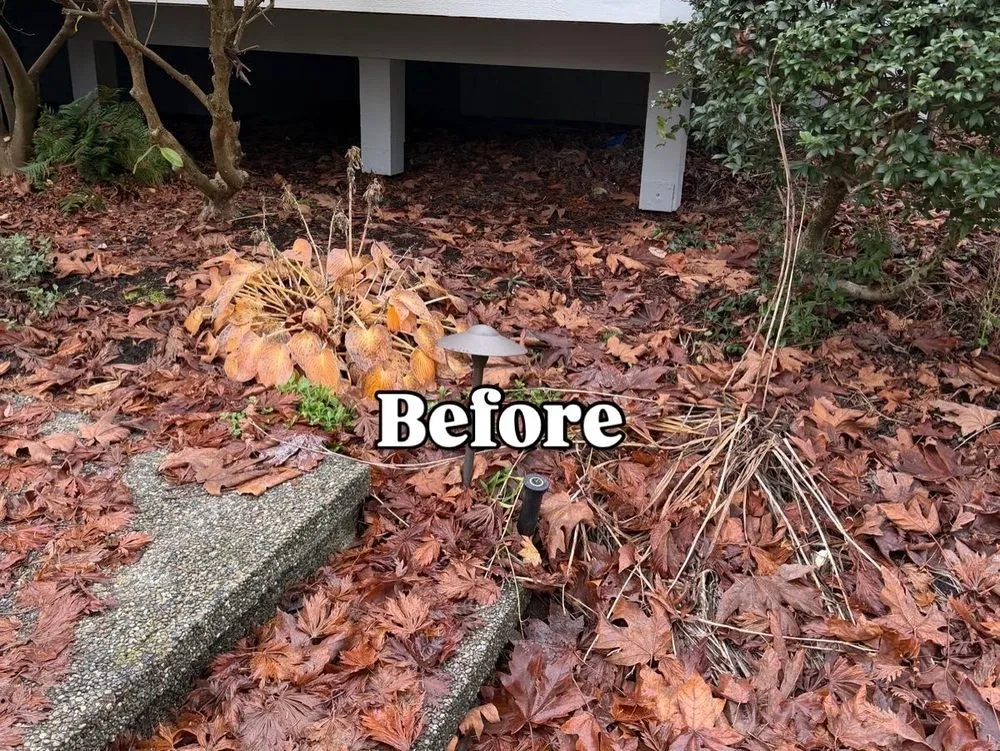 Local lawn care service for residential properties in Lynnwood, WA by NW Landscaping Services