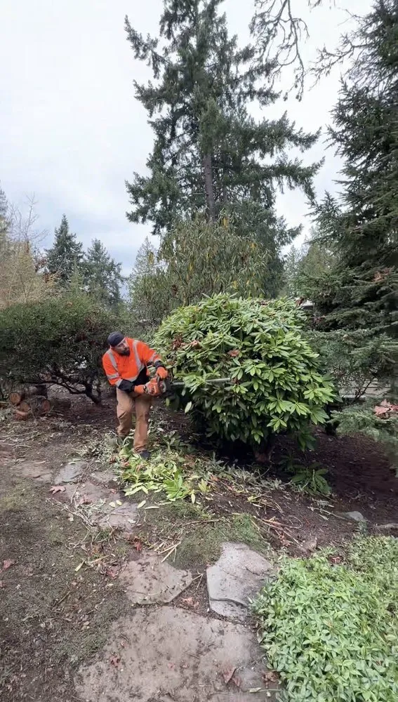 Local yard maintenance experts serving Lynnwood, WA - NW Landscaping Services