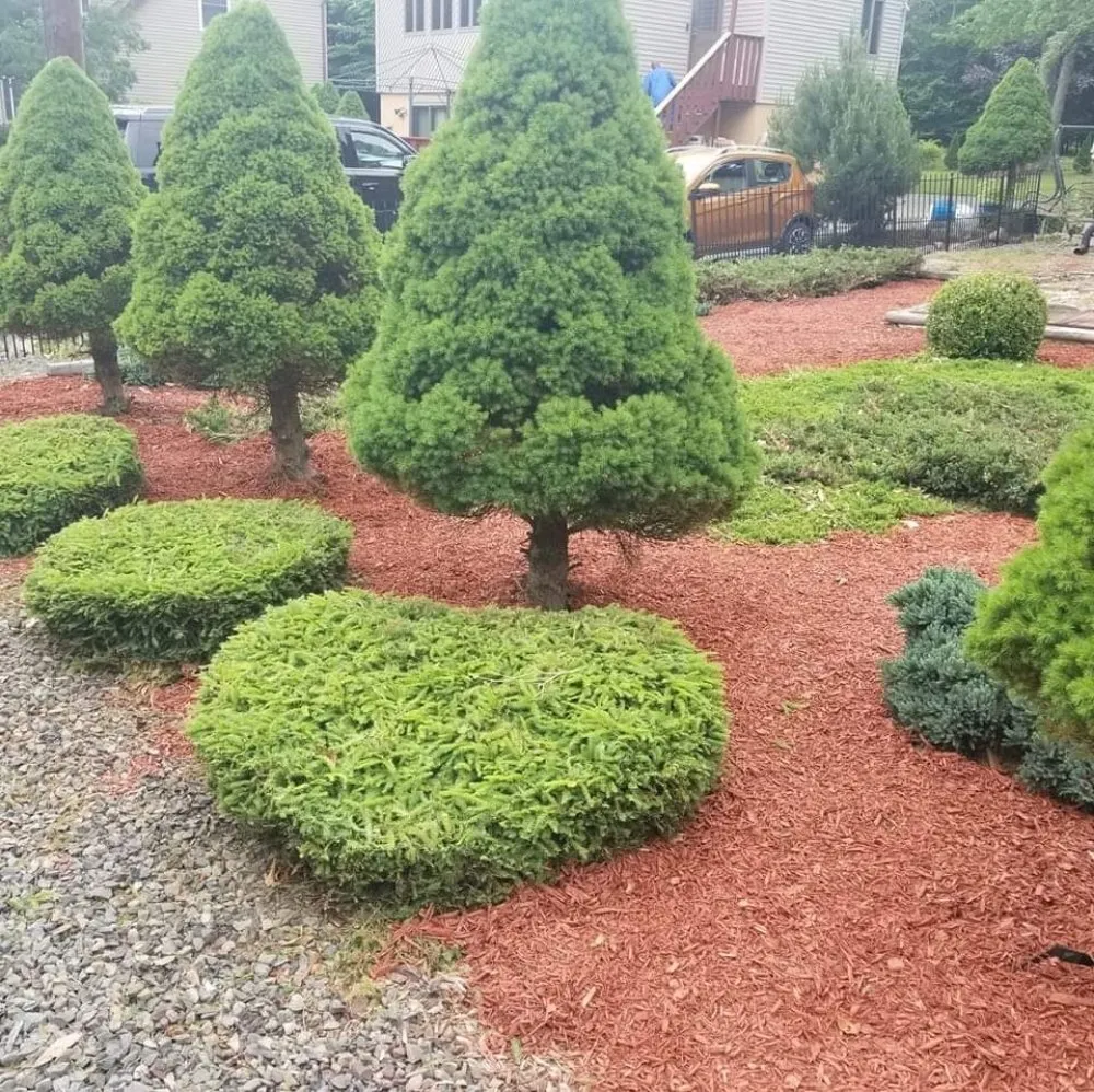 Expert garden landscaping in Tobyhanna, PA - NW Landscaping