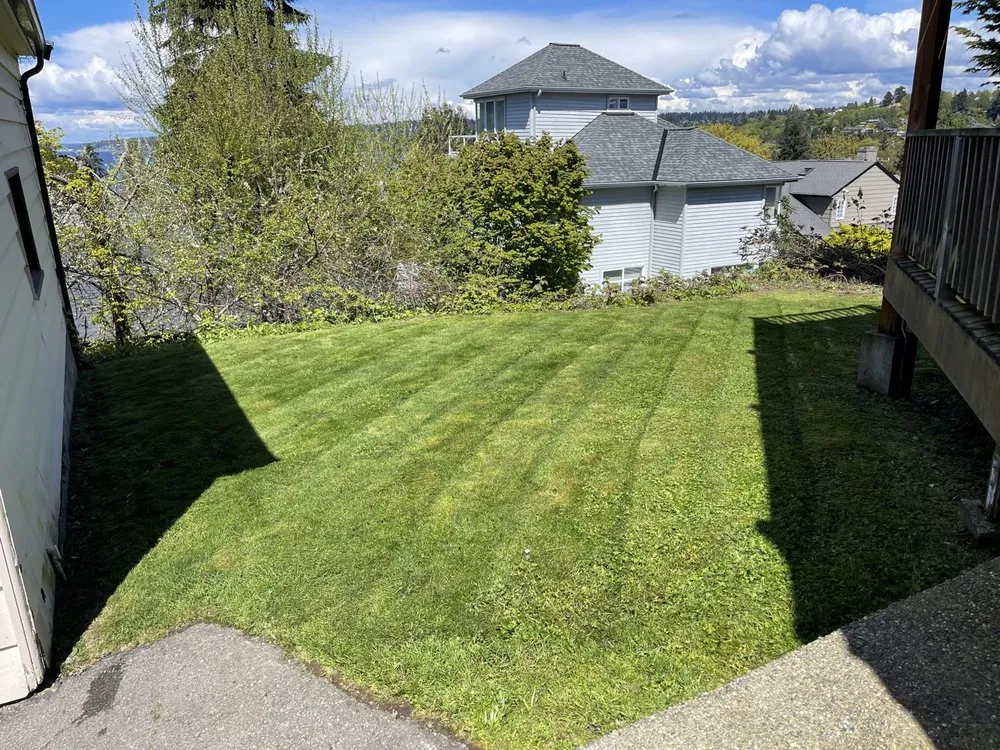 Expert lawn mowing service in Seattle, WA by Nw Lawn Services
