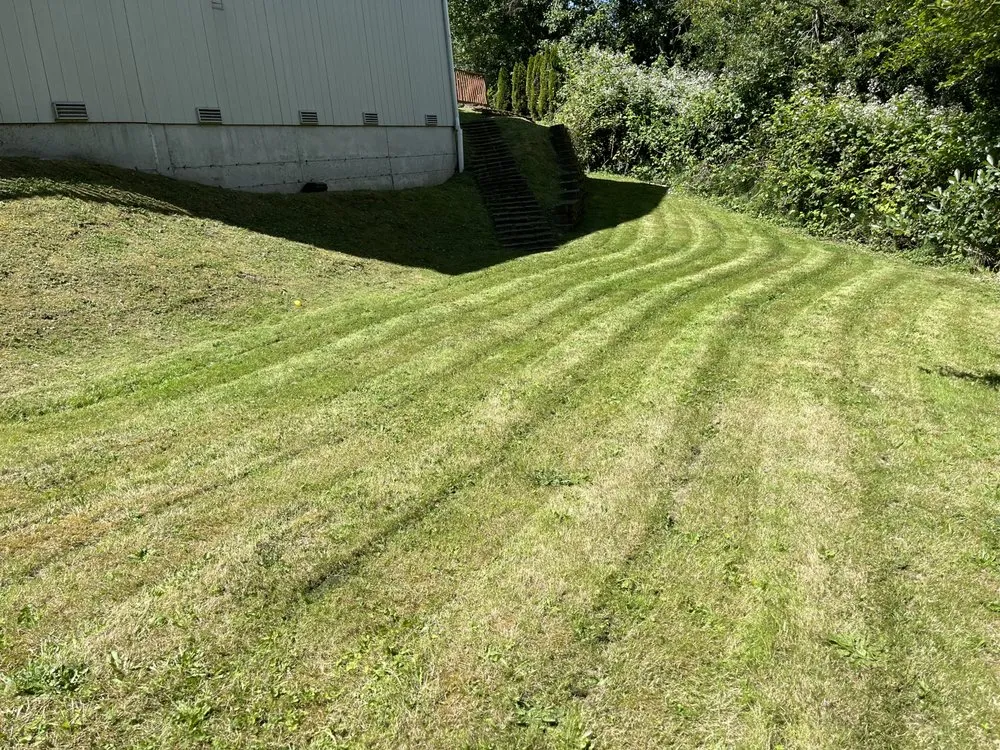 Expert lawn care service in Seattle, WA - Nw Lawn Services