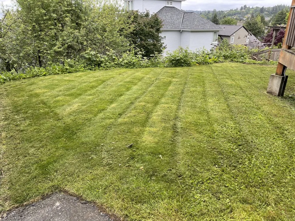 Professional garden landscaping in Seattle, WA by Nw Lawn Services