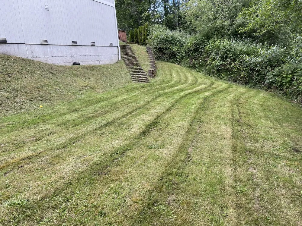 Local landscaping services experts serving Seattle, WA - Nw Lawn Services