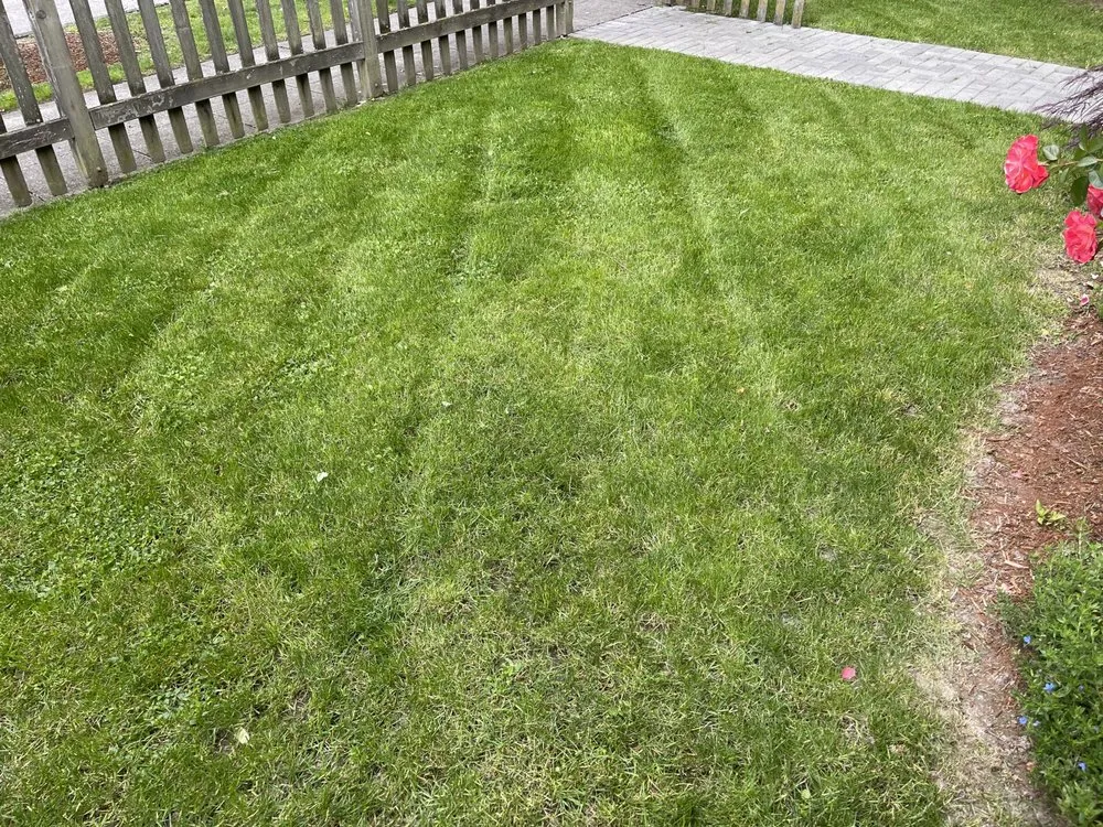 Expert landscape design for beautiful yards across Seattle, WA - Nw Lawn Services