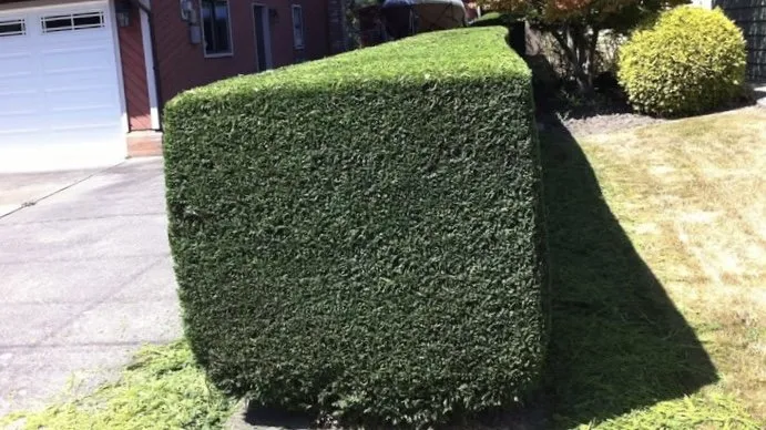 Reliable garden landscaping experts serving Seattle, WA - Nw Lawn Services