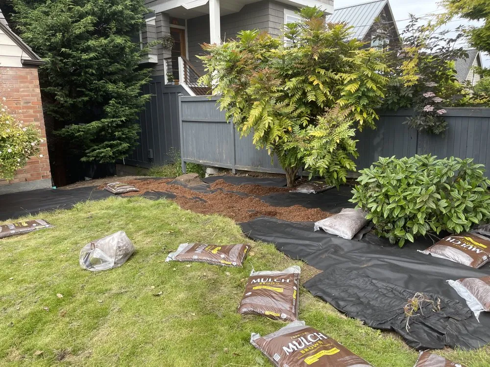 Reliable lawn mowing service for beautiful yards across Seattle, WA - Nw Lawn Services