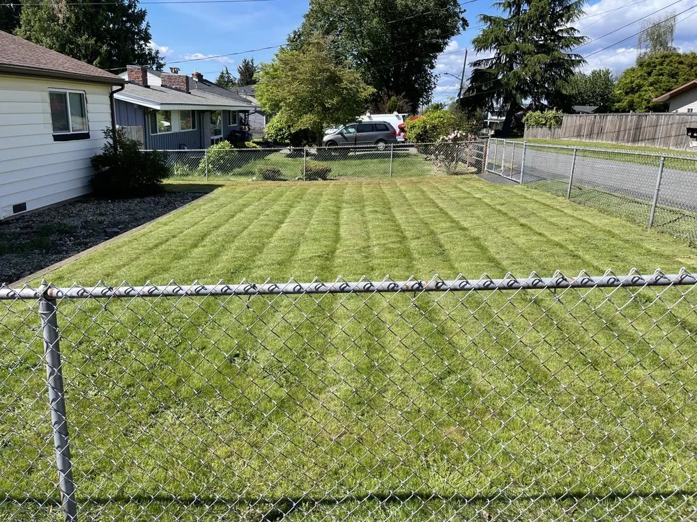 Expert yard cleanup service with custom design across Seattle, WA - Nw Lawn Services