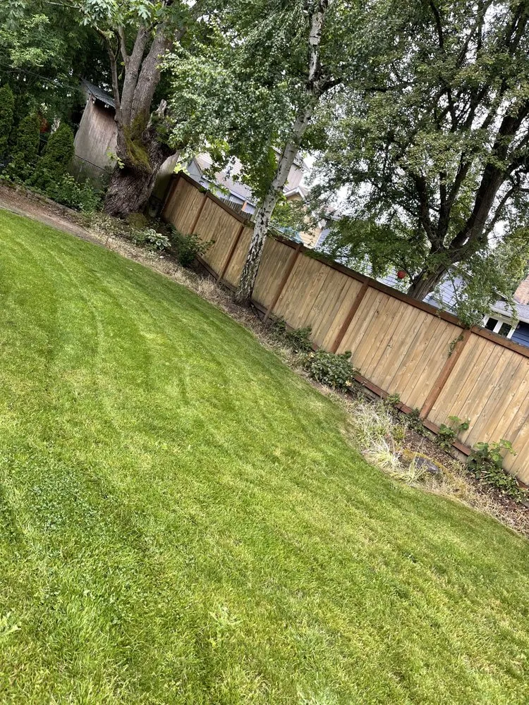 Professional landscape installation for beautiful yards across Seattle, WA - Nw Lawn Services