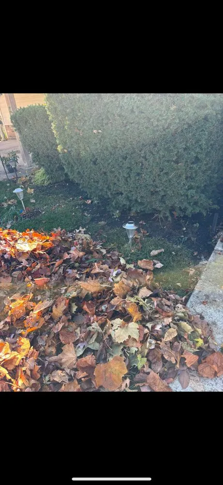 Reliable garden landscaping in Clarinda, IA by NW Lawncare