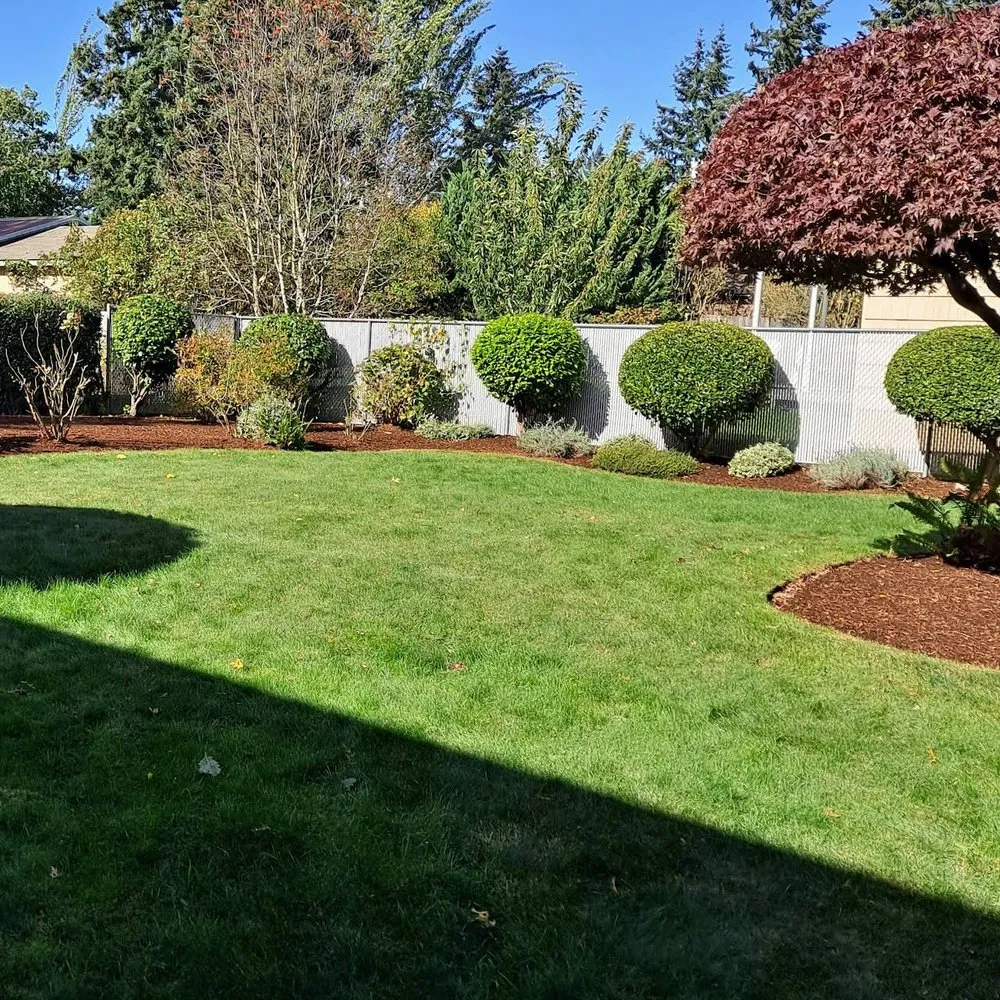 Affordable landscape installation experts serving Everett, WA - Nw Llc gardens