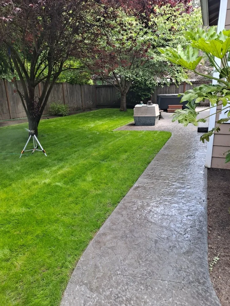 Expert yard maintenance near you across Everett, WA - Nw Llc gardens