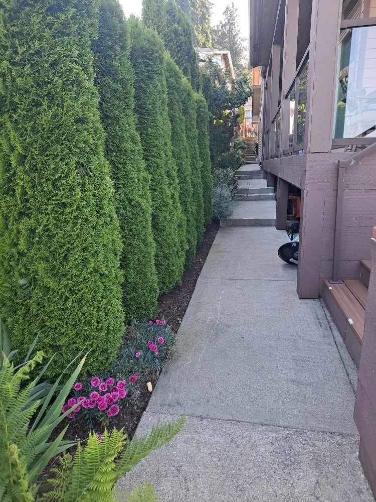 Local residential landscaping in Everett, WA - Nw Llc gardens