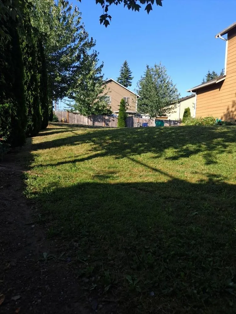Reliable lawn care service for residential properties in Everett, WA by Nw Llc gardens