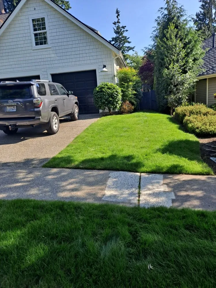 Professional residential landscaping in Everett, WA by Nw Llc gardens
