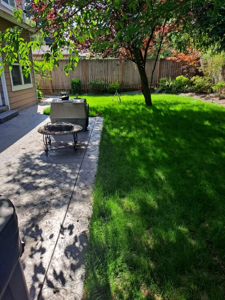 Local landscape installation in Everett, WA by Nw Llc gardens