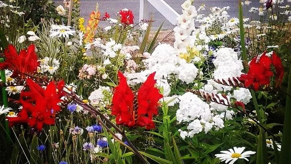 Custom lawn mowing service in Everett, WA - Nw Llc gardens