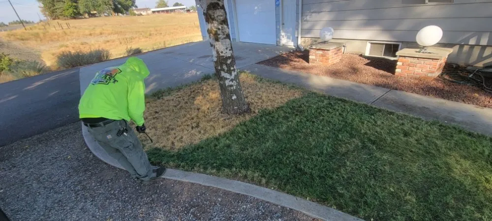 Reliable yard cleanup service in Spokane Valley, WA - NW Mow and Snow