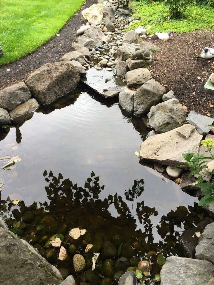 Affordable yard cleanup service in Vancouver, WA by NW Pond Services