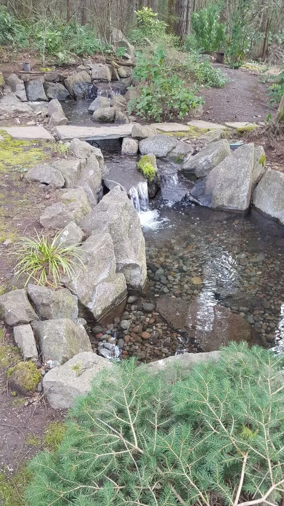 Local lawn care service for outdoor upgrades across Vancouver, WA - NW Pond Services