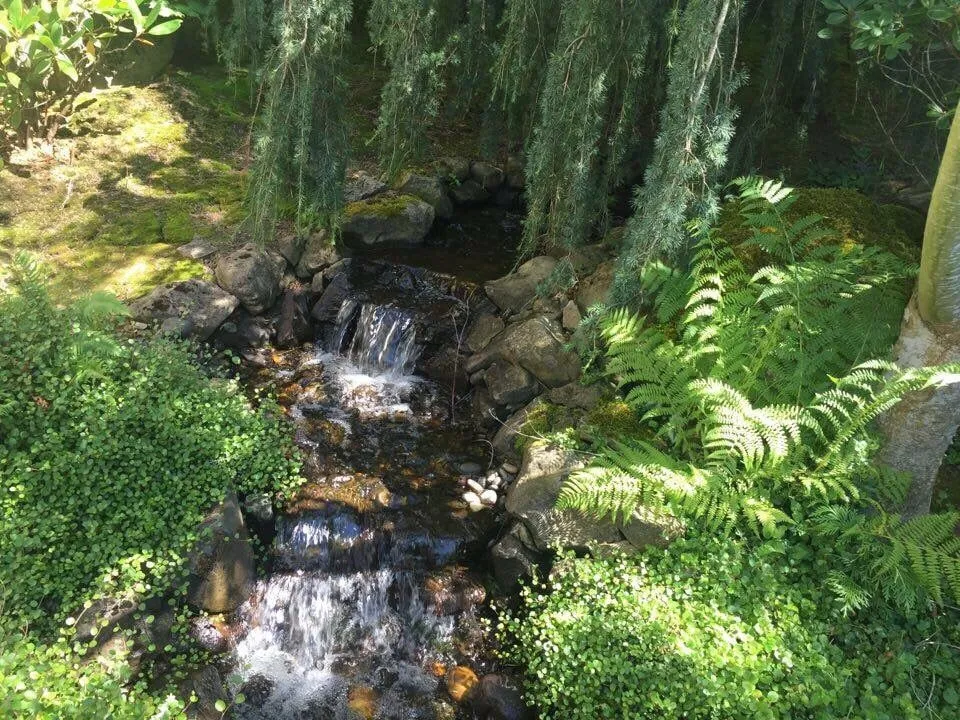 Trusted landscape installation in Vancouver, WA by NW Pond Services