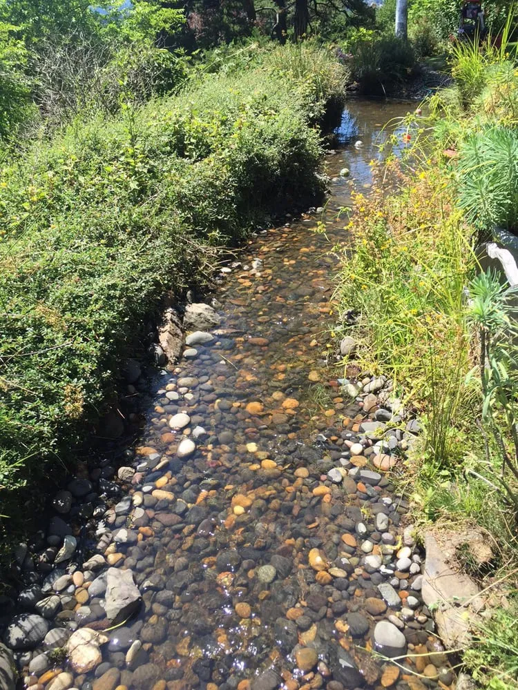 Affordable landscaping services experts serving Vancouver, WA - NW Pond Services