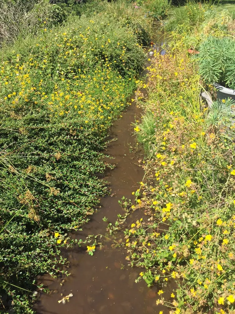 Local residential landscaping in Vancouver, WA - NW Pond Services