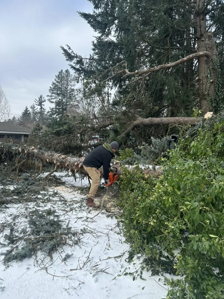 Local yard cleanup service in Clackamas, OR by NW Quality Construction & Hardscape