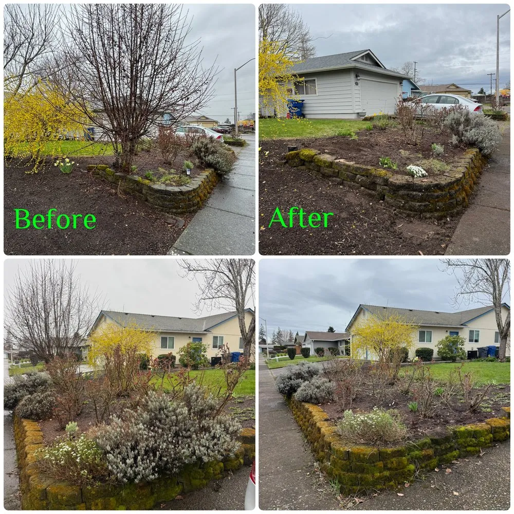 Reliable yard cleanup service experts serving Silverton, OR - Nw Service Experts