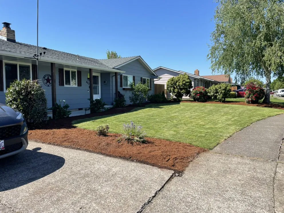 Custom landscape installation in Silverton, OR by Nw Service Experts