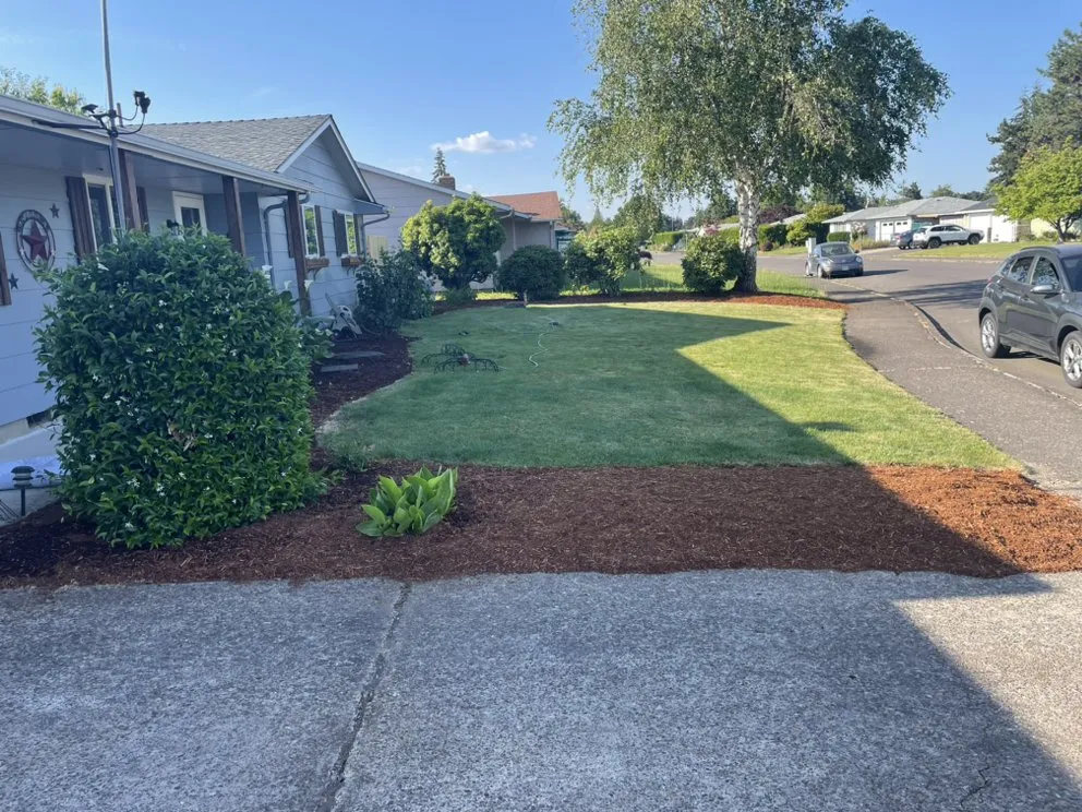 Affordable lawn mowing service for outdoor upgrades across Silverton, OR - Nw Service Experts