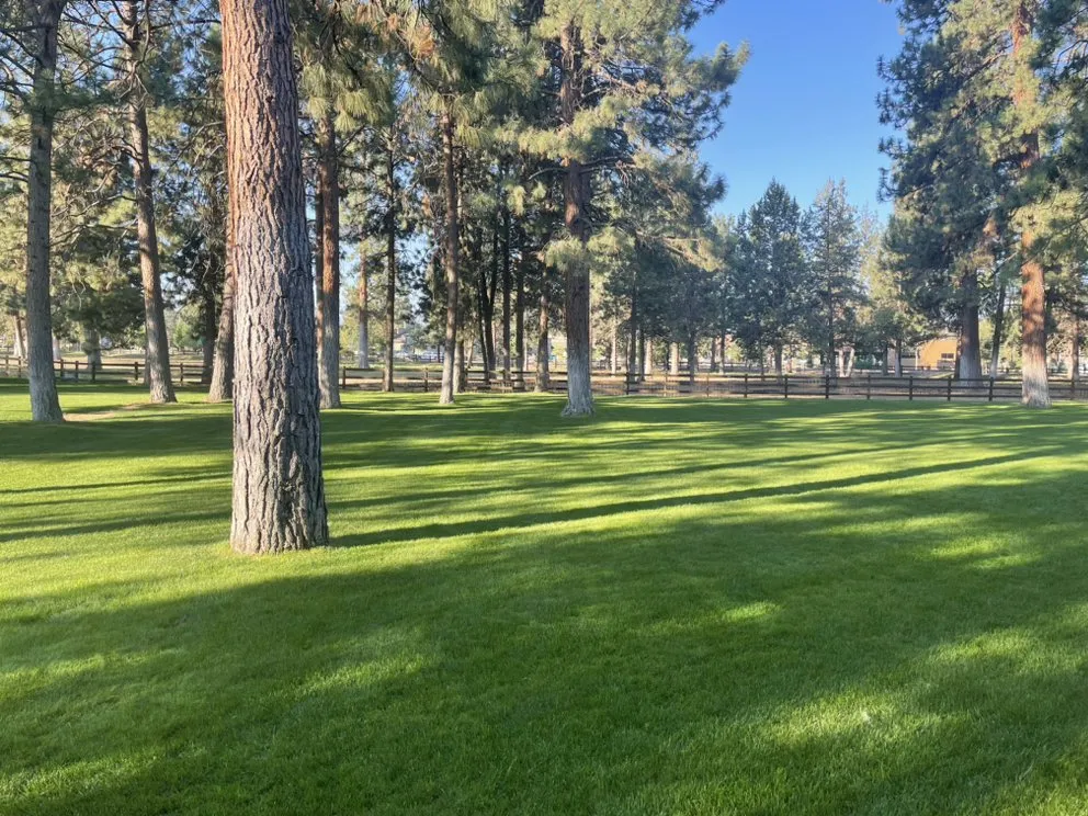 Professional landscape design experts serving Silverton, OR - Nw Service Experts
