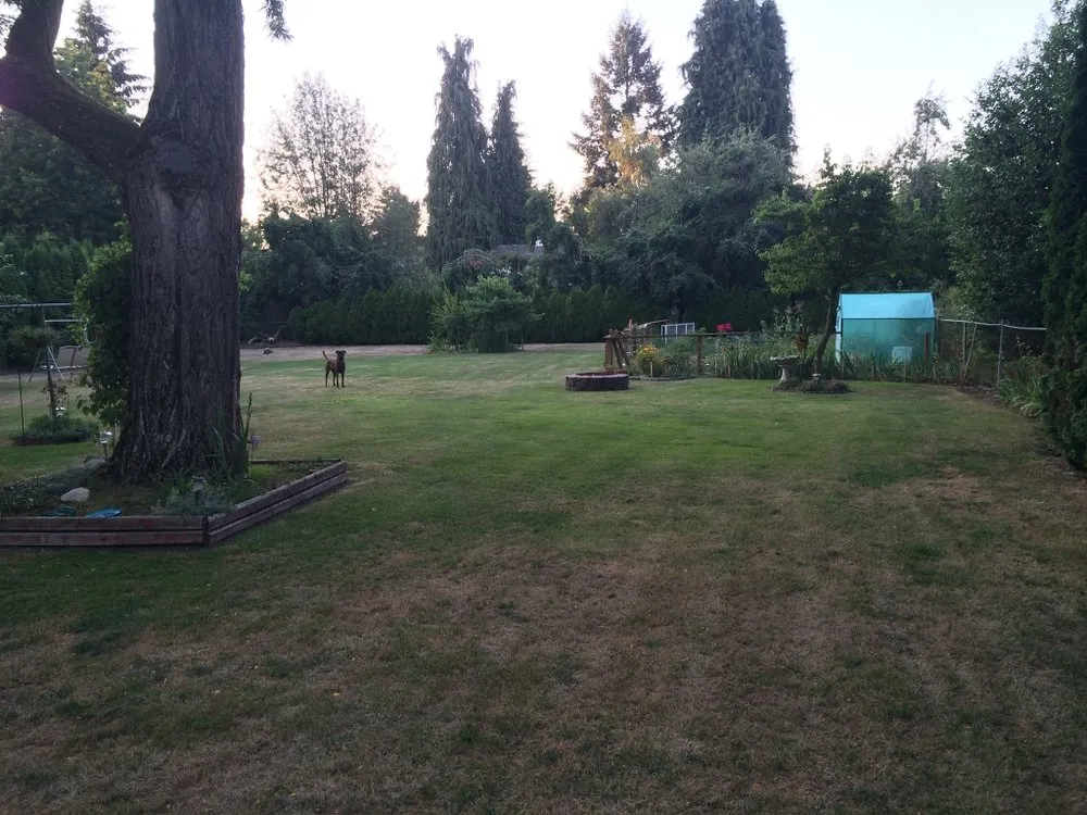 Custom garden landscaping for beautiful yards in Silverton, OR by Nw Service Experts